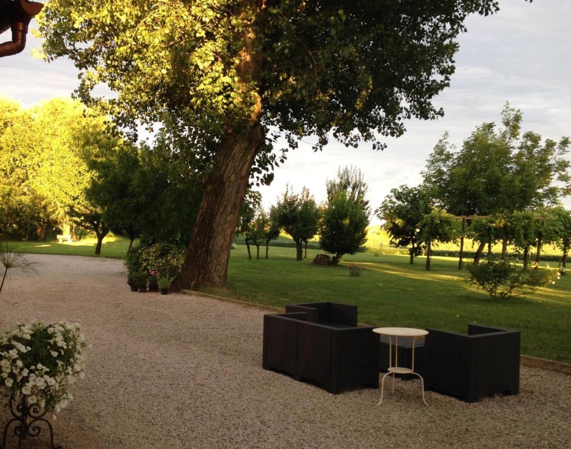Antica Vigna Bed & Breakfast Chioggia Bagian luar foto