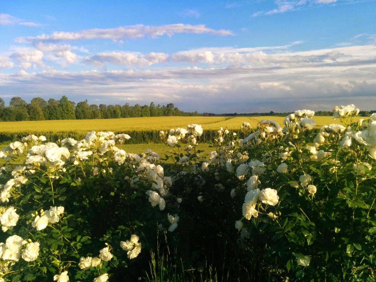 Antica Vigna Bed & Breakfast Chioggia Bagian luar foto