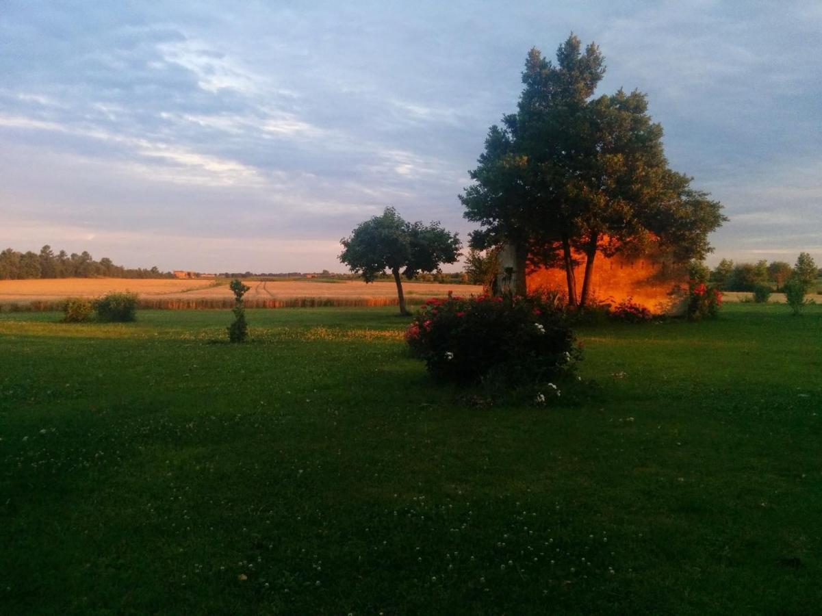 Antica Vigna Bed & Breakfast Chioggia Bagian luar foto