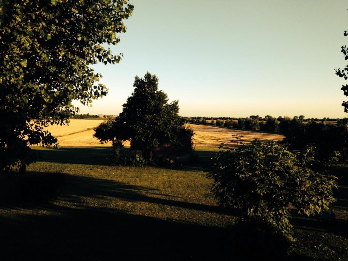 Antica Vigna Bed & Breakfast Chioggia Bagian luar foto